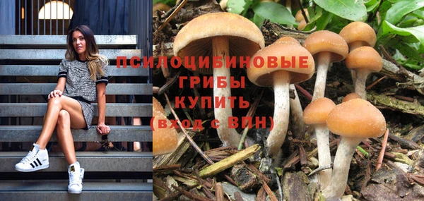 MDMA Premium VHQ Нея