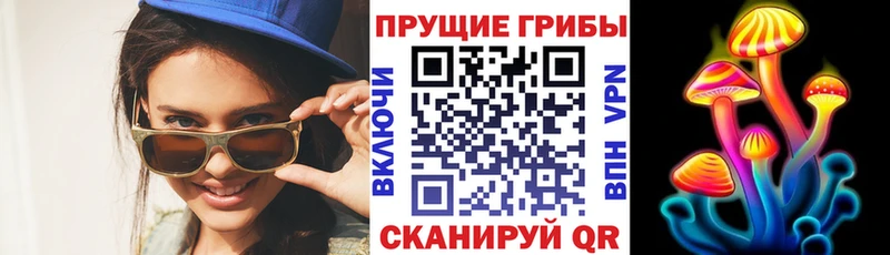 дарнет шоп Лысково Галлюциногенные грибы Cubensis